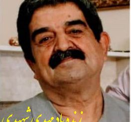 مهدی شهیدی